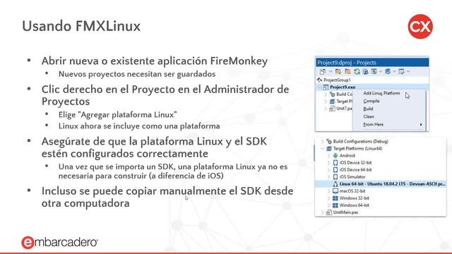 Aplicación visual FMX corriendo con Ubuntu y Red Hat смотреть онлайн
