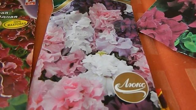 СЕМЕНА ЦВЕТОВ 2018 НОВИНОЧКИ смотреть онлайн