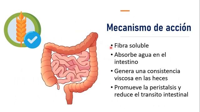 ? PSYLLIUM PLANTAGO | PARA QUÉ SIRVE, EFECTOS SECUNDARIOS, MECANISMO DE ACCIÓN Y CONTRAINDICACIONES смотреть онлайн