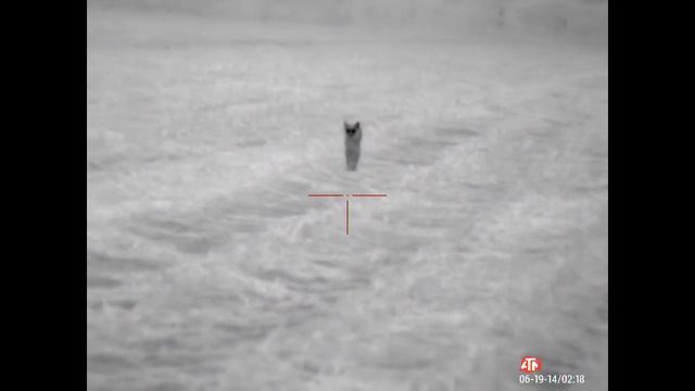 Thor 4 4-40 & Pulsar Helion XP28 смотреть онлайн