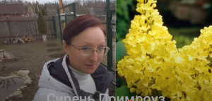 Видео привет с 6 соток 13 апреля 2024 года. 1 часть.