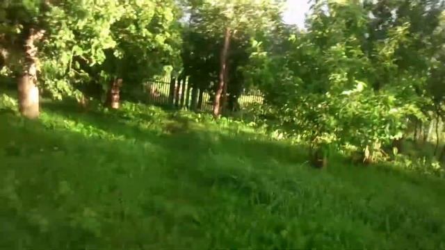 Душа радуется такой красоте! смотреть онлайн