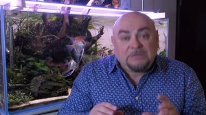 Аквариумистика. Добрые советы новичкам. Грунт в аквариуме.