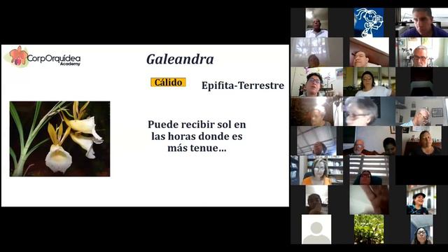 Orquídeas de clima cálido: identificación y cultivo - Nunca pares de aprender con CorpOrquídea смотреть онлайн