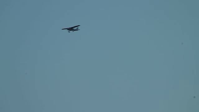 Sirius Gullknapp смотреть онлайн