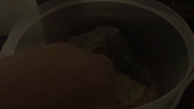 My pet rocks! смотреть онлайн