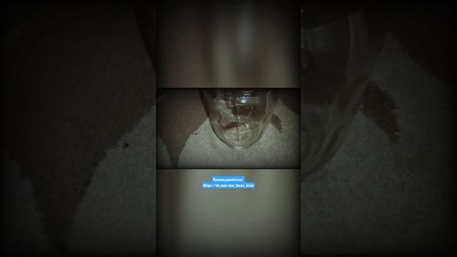 сколопендра страшный жук 1 часть / СМОТРИ ОПИСАНИЕ ПОД ВИДЕО / жизнь на даче / дом #short #shorts смотреть онлайн