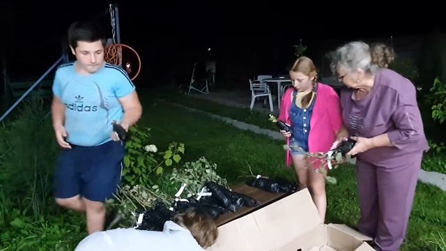 Розы от Беккер смотреть онлайн