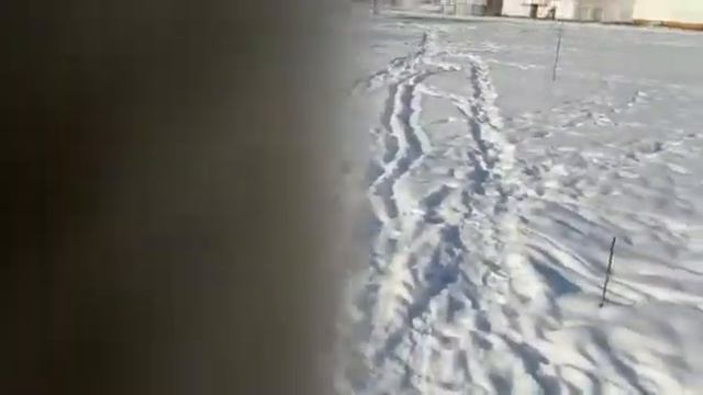 С КРЕЩЕНИЕМ ВСЕХ!!! 19.01.2021г. смотреть онлайн