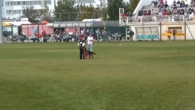 vasto della valle d'itria смотреть онлайн