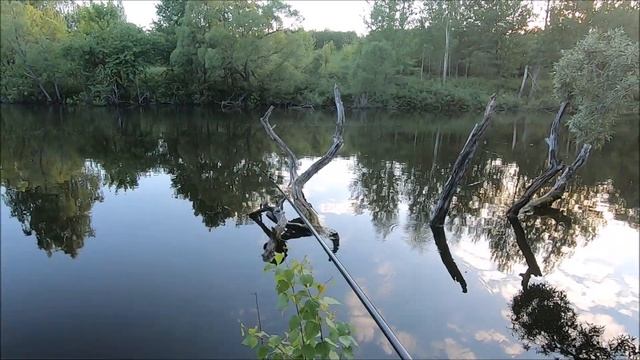 Как ловят зимние безмотылки летом?Боковой кивок с безмотылкой!Супер клёв! смотреть онлайн