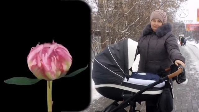 С днем рождения, доченька! смотреть онлайн