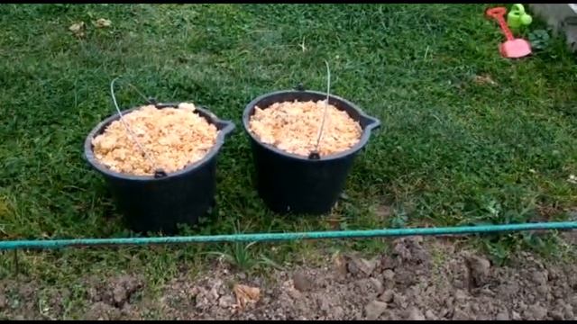 УКРЫВАЕМ МОЛОДОЙ ВИНОГРАД НА ЗИМУ. ПРОВЕРЕННЫЙ, НАДЕЖНЫЙ СПОСОБ! смотреть онлайн