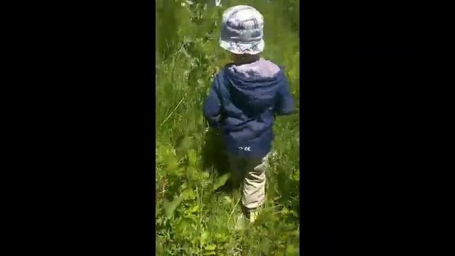 Путешествие в юрский период. Добываем яйцо динозавра смотреть онлайн