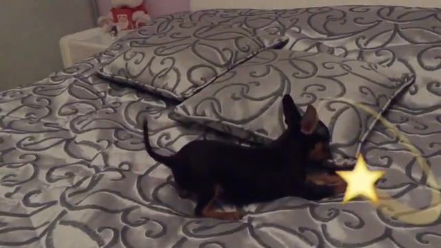 Долли играет смотреть онлайн