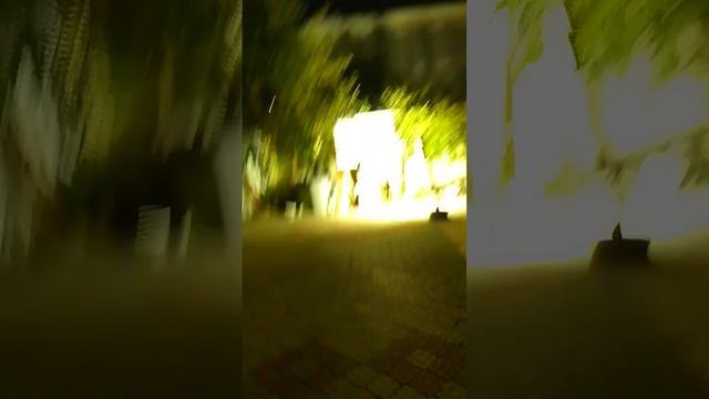 Ночные промахи из лука. Но кто же виноват??? смотреть онлайн