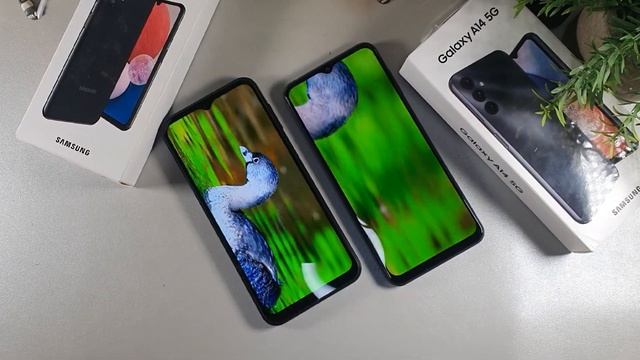 Samsung Galaxy A14 5g vs Samsung Galaxy A13 4g LTE | Detailed Comparison! смотреть онлайн