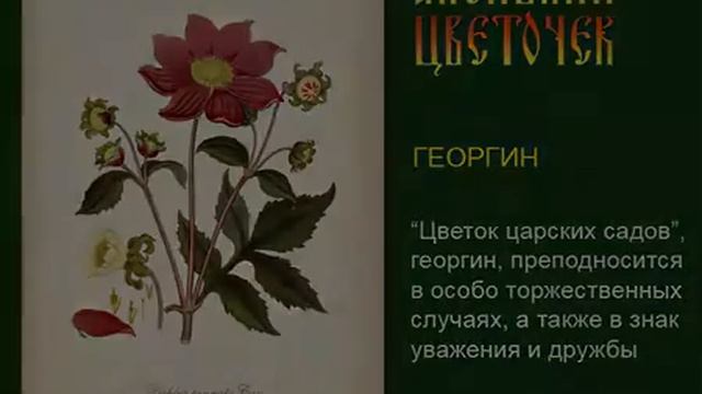 Аленький цветочек смотреть онлайн