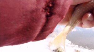 Река Зуша .  Открытие летнего сезона 2021 год .