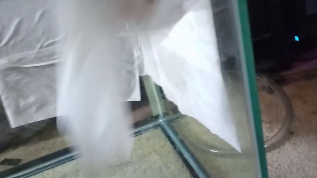 How to clean limescale and hard water deposits off aquarium glass safely without harsh chemicals. смотреть онлайн