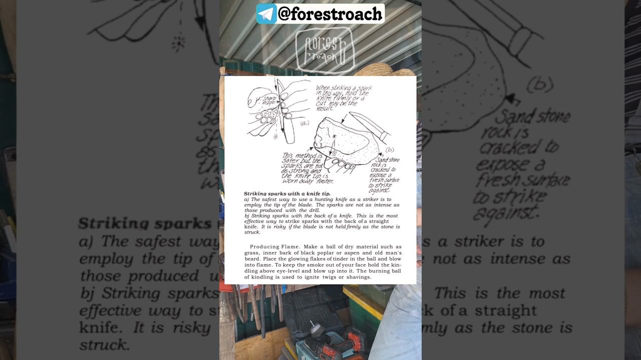 ОГОНЬ ИЗ НОЖА, МЕТОД КОЧАНСКИ!#бушкрафт #выживание #ковка #forest #forestroach #самоделки #wood смотреть онлайн