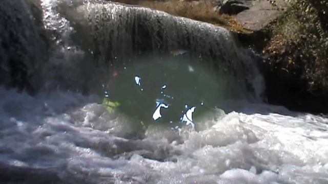 Практика! Медитация для начинающих. Уроки медитации от Серого #WoofChannel смотреть онлайн