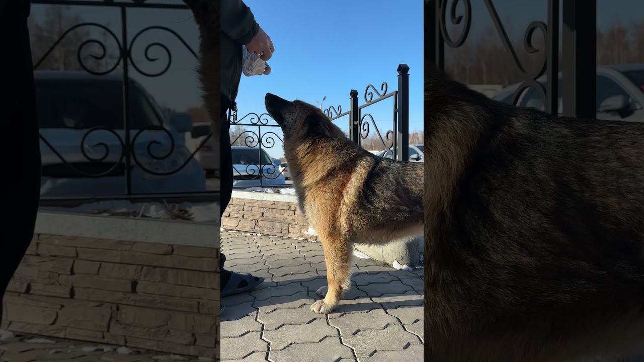 6000 км в одной минуте смотреть онлайн
