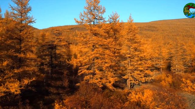 Осень на Аяне смотреть онлайн