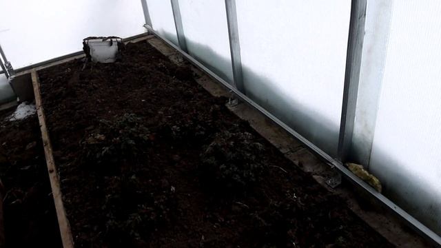 2 гектара | Проверка теплицы и хризантемы зимой. смотреть онлайн