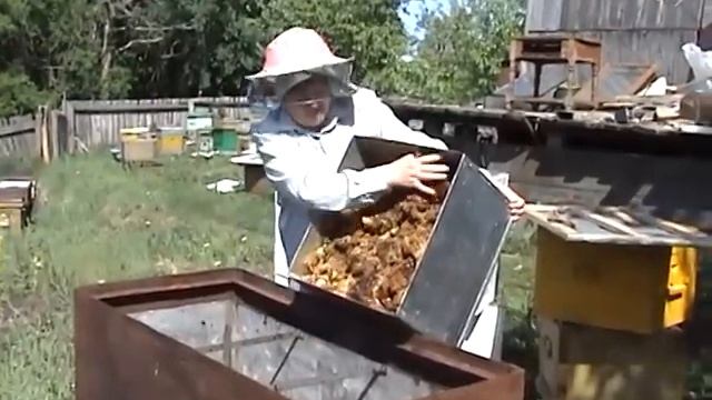 Переработка старой Восковой суши смотреть онлайн