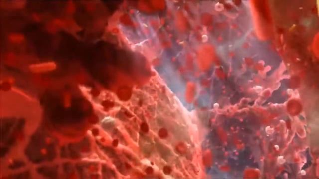 9 месяцев беременности за 20 минут в 3D с русской озвучкой смотреть онлайн