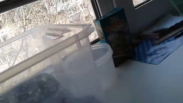 Обзор на домик и принодлежности для красноухой черепахи смотреть онлайн