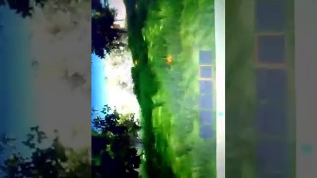 Игры на своём компьютере смотреть онлайн