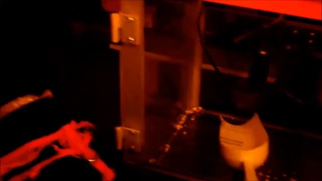 A Little Tidying Up Before Playing Video Games смотреть онлайн