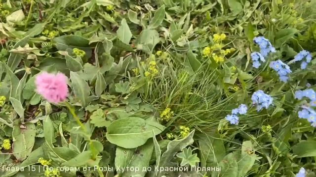 Глава 15 | По горам от Розы Хутор до Красной Поляны смотреть онлайн