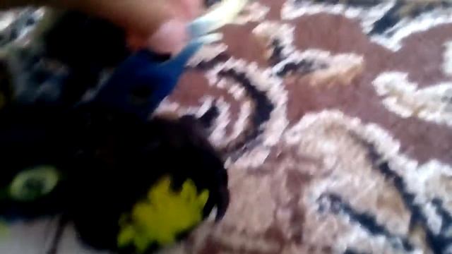 Призрачный гонщик лего Ninjago смотреть онлайн