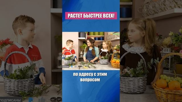 Какой цветок растет быстрей всех? смотреть онлайн