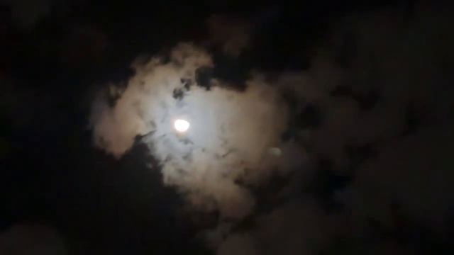 el URBEX se salió de control | llegaron a buscarnos смотреть онлайн