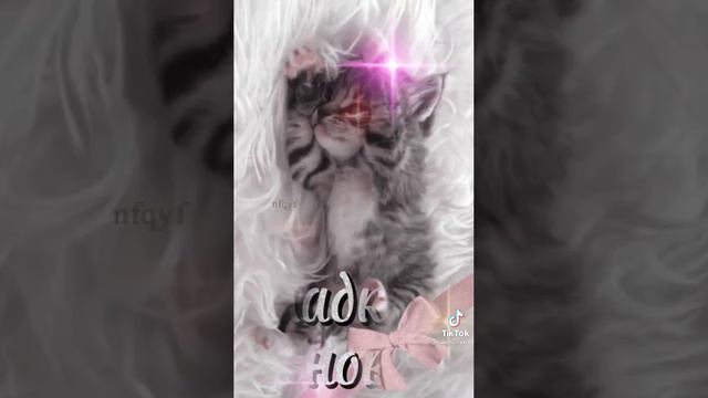 Спокойной ночи!!! Всего доброго!!! #видео #видео #поздравление #картинки #ночь смотреть онлайн