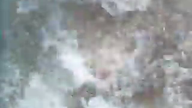 Морской котик на Галапагосах. смотреть онлайн