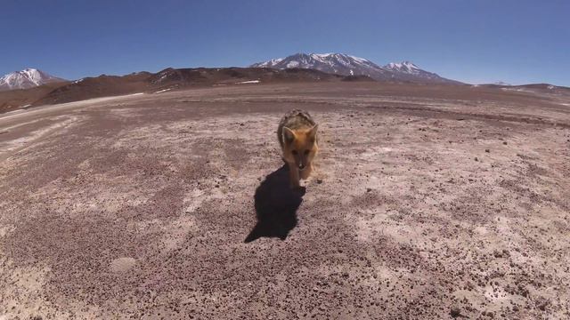 Lake Titicaca | Huayna Potosi | Salar de Uyuni | Atacama | Backpacking | смотреть онлайн