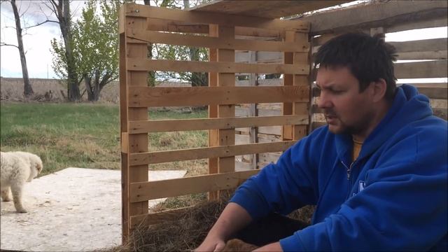 Канадский фермер. Неделя-15 смотреть онлайн