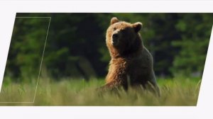 Агитационный ролик кандидата в президенты России Владимира Путина