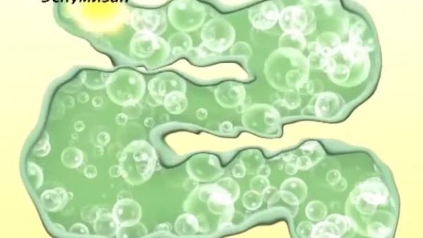 AC Production   Берлин Хеми   Эспумизан