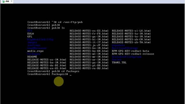 Implementing Yum Server in RHEL 6 (Hindi) by Vipin Gupta смотреть онлайн