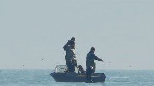 Рыбалка на сетки под Арабатской стрелкой в Геническе