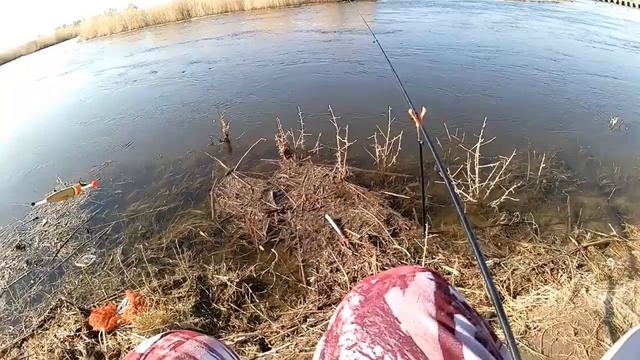 03.05.2022 Песчанские шлюзы Летняя рыбалка на поплавок на чебака смотреть онлайн