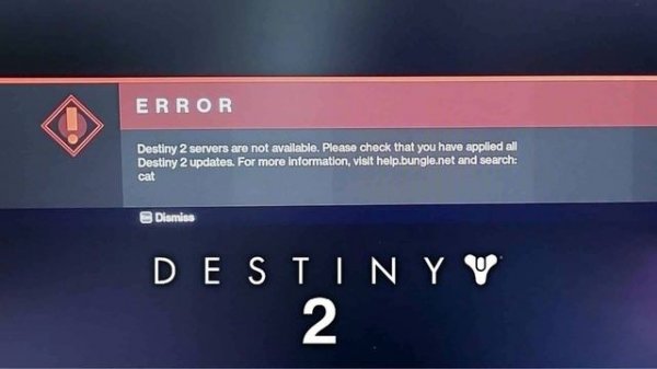destiny 2 cat error ! destiny 2 cat error codes :- HOw to fix ? ! destiny 2 cat
