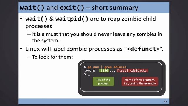 CSCI 3150, 2016-02-01, Zombie / Fork Bomb смотреть онлайн