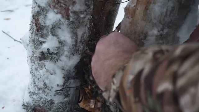 Extreme Winter Survival Camping | Bushcraft Shelter - Lavvu Poncho смотреть онлайн